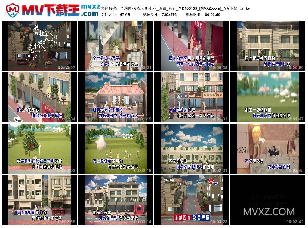 辛莉恩-爱在大街小巷_国语_流行_MD105155